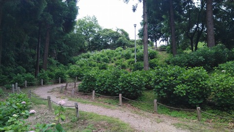 KIMG4390