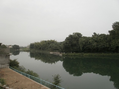 P7140016