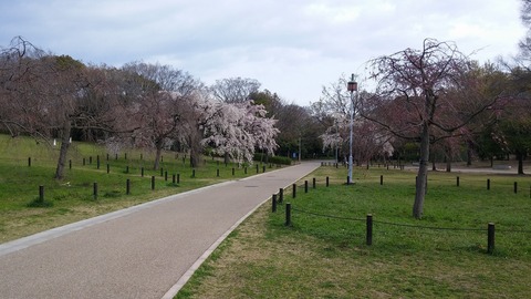 20170406_074050