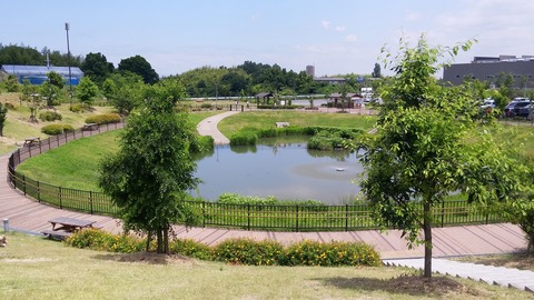 20170613_105612