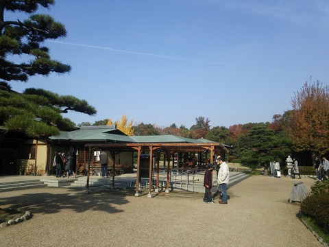 １１月２４日 (10)