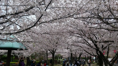 20170409_123237
