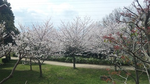 ４月６日 (12)