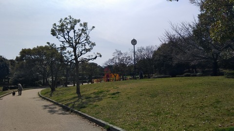 KIMG2565