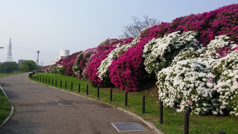 20170501_072625