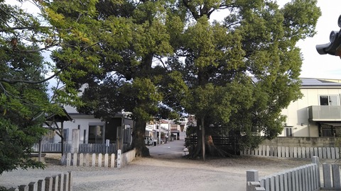 KIMG0960