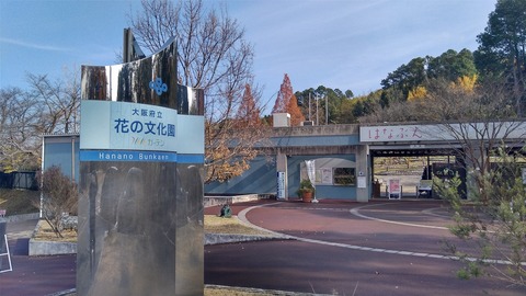 KIMG6142
