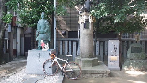 ６月１５日 (3)