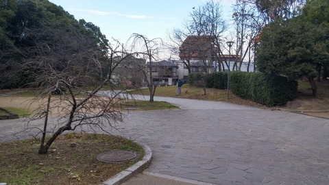 20171210_081541_HDR