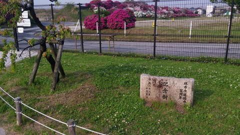 20170501_072530