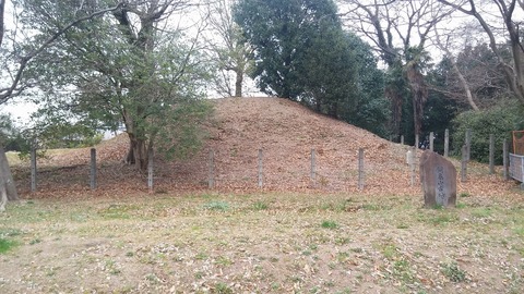 20170306_074259