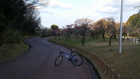20170308_072854