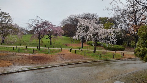KIMG0730