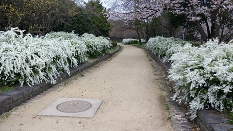 20170406_075200