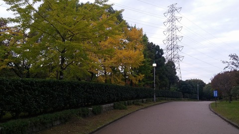 20171111_082216