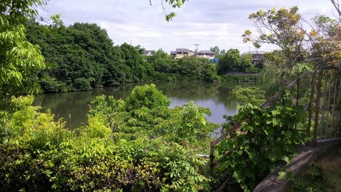 20170603_091201