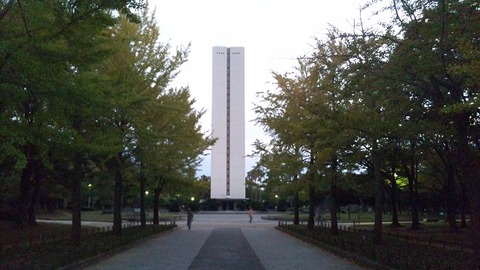 １１月２日 (8)