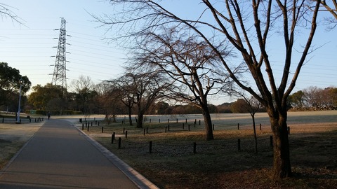 20170216_072636