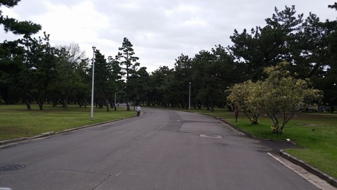 20170412_070356