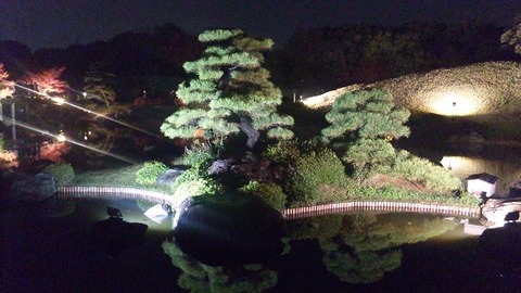 １１月２３日 (14)
