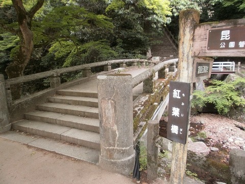P5200018