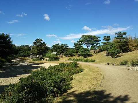 ６月１２日　浜寺公園