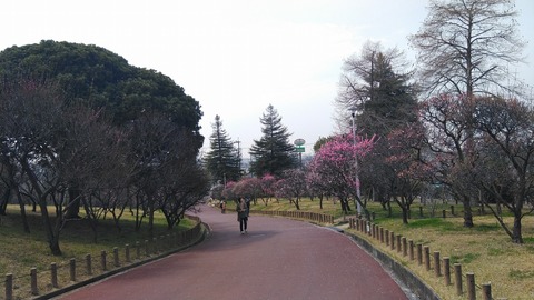 KIMG2454