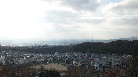 PAP_0010