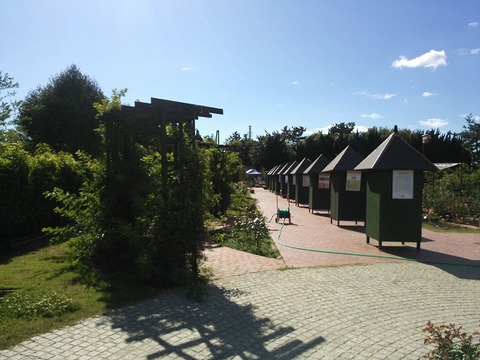 ６月１２日　浜寺公園 (1)