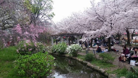 20170409_123154