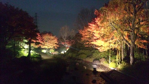 １１月２３日 (10)