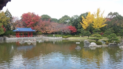 １１月１８日 (33)