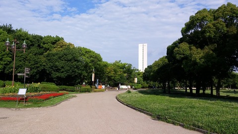 20170711_072712