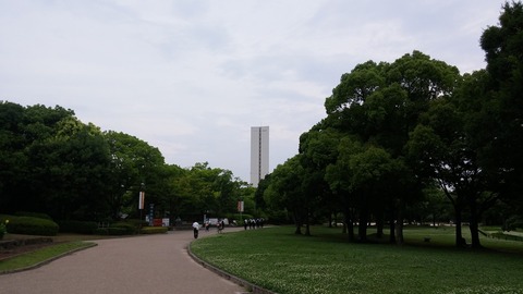 20170627_080030