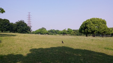 20170530_075527