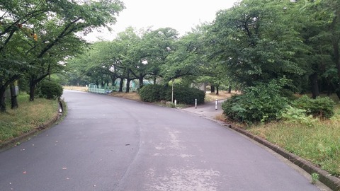 20170625_071703