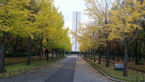 20171111_081415