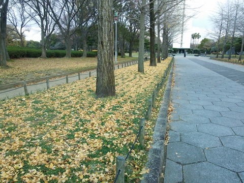 １２月１２日 (3)