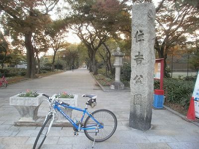 PB230010