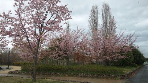 ４月３日 (10)