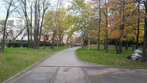 20171129_075601