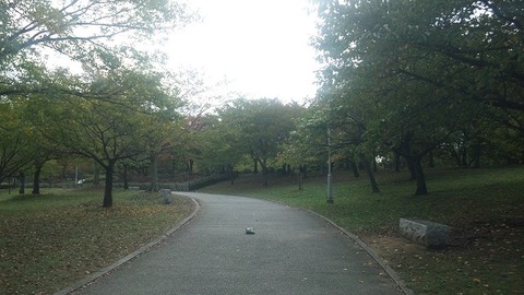 １１月２日 (2)