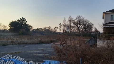 20170305_065242_HDR