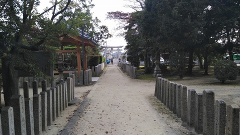 KIMG0954
