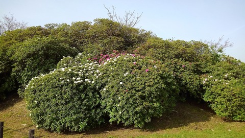 KIMG3822