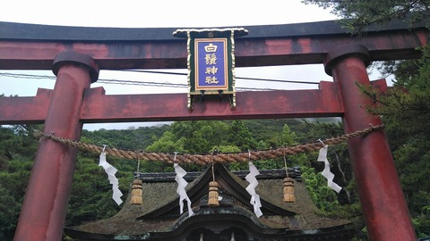 KIMG8743