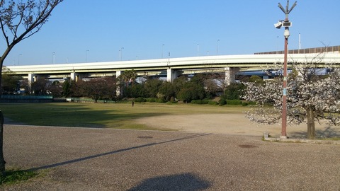 20170404_065401