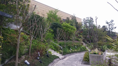 20170421_125620