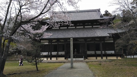 KIMG7244