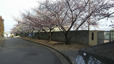 20170406_072129